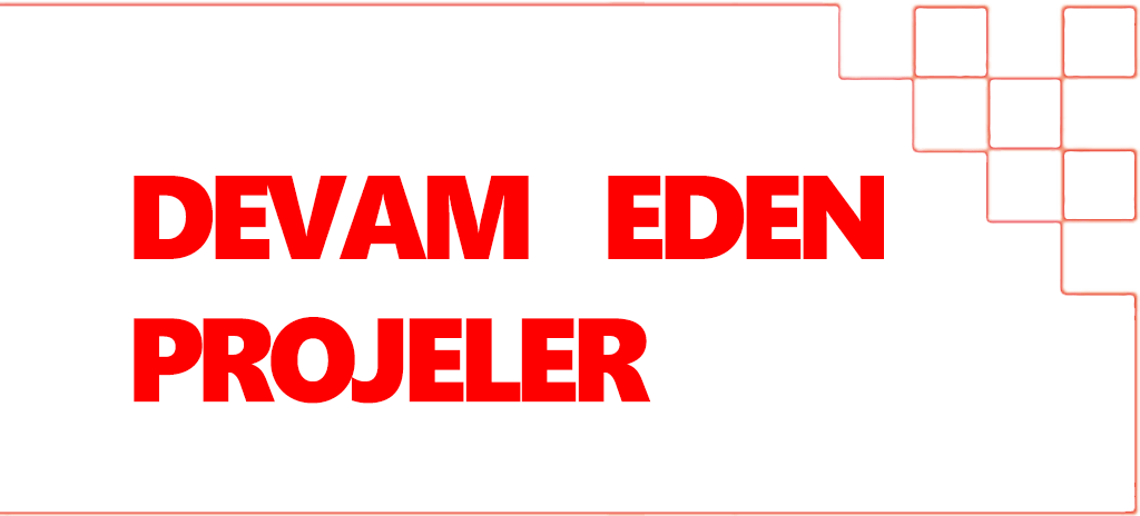 Devam Eden Projeler